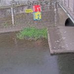 杉並区　善福寺川　荻窪公園付近（荻窪二丁目）　松見橋下流