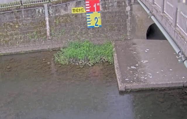 杉並区　善福寺川　荻窪公園付近（荻窪二丁目）　松見橋下流