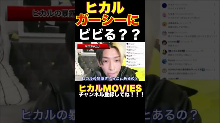 ヒカル、ガーシー【東谷義和】にビビる？？#ヒカル　＃ガーシー　＃東谷義和　＃short