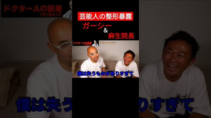 芸能人の整形を暴露させようとするガーシー　#shorts  #ガーシーch  #真剣佑