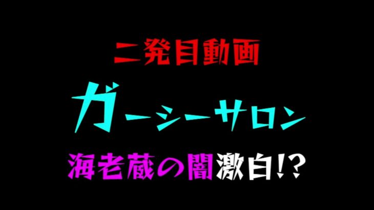 【ガーシーサロン】二発目動画「海老蔵の闇激白!?」