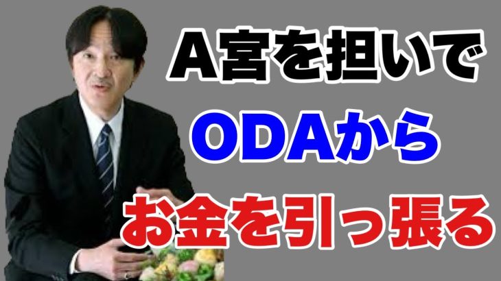 【切り抜き】 A宮を担いでODAを利用し海外からお金を引っ張る