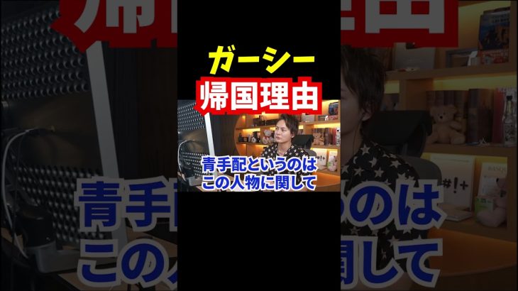 【ガーシー逮捕】帰国理由が明らかになりました【青汁王子切り抜き】