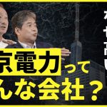 東京電力と自民党の繋がり 電気代はどうやって決まるのか？　#佐藤尊徳 #井川意高 #政経電論