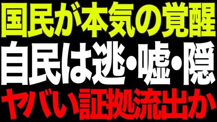 【国民が覚醒】国民民主党が大躍進！井川意高氏が暴露する自民党の末期症状が露呈【政治AI解説】