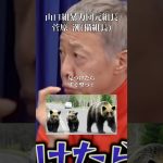 危険なクマはさっさと駆除するべき#井川意高#大王製紙#猫組長#習近平#クマ出没#ホリエモン#佐藤尊徳#安倍総理#岸田文雄#石破茂#林芳正#総裁選#小泉進次郎#小池百合子#麻生太郎#高市早苗#トランプ