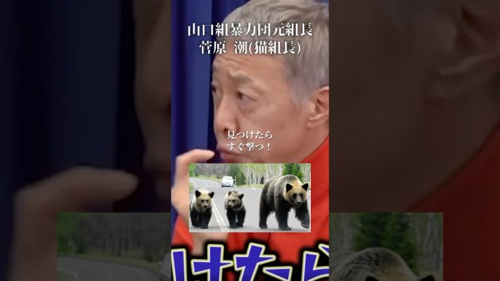 危険なクマはさっさと駆除するべき#井川意高#大王製紙#猫組長#習近平#クマ出没#ホリエモン#佐藤尊徳#安倍総理#岸田文雄#石破茂#林芳正#総裁選#小泉進次郎#小池百合子#麻生太郎#高市早苗#トランプ
