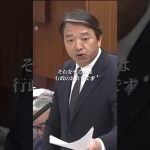 【ブチギレ】何も答えない政務官にキレる幹事長#榛葉幹事長#国民民主党#インバウンド#ニセコ中国人#外国人問題